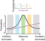 Novel biomarker for estimating Excitation/Inhibition